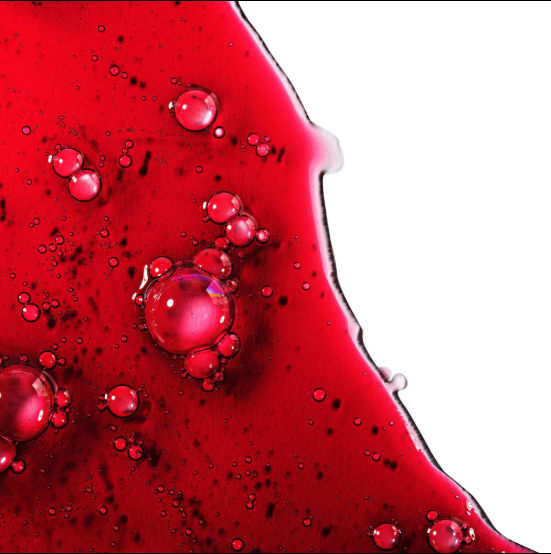 Screenshot 2026-01-15 203736