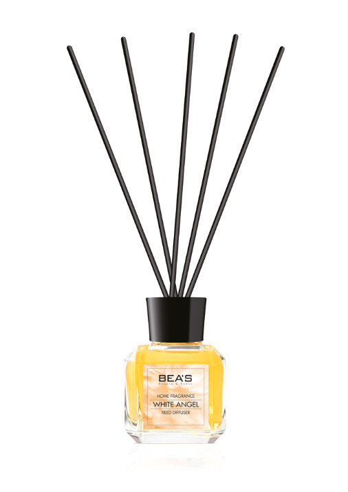 Screenshot 2026-02-09 225645